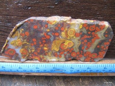 Museum Quality Morgan Hill Poppy Jasper Slab 5 75 x 2 3 x 7 8mm