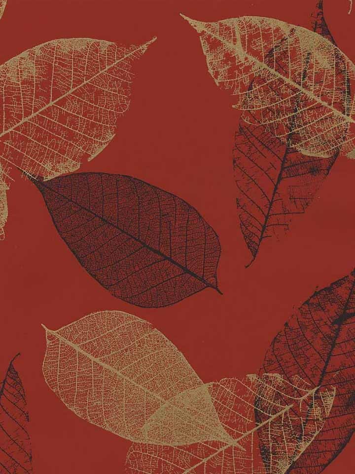 Wallpaper Designer Gold and Black Leaves Leaf on Red