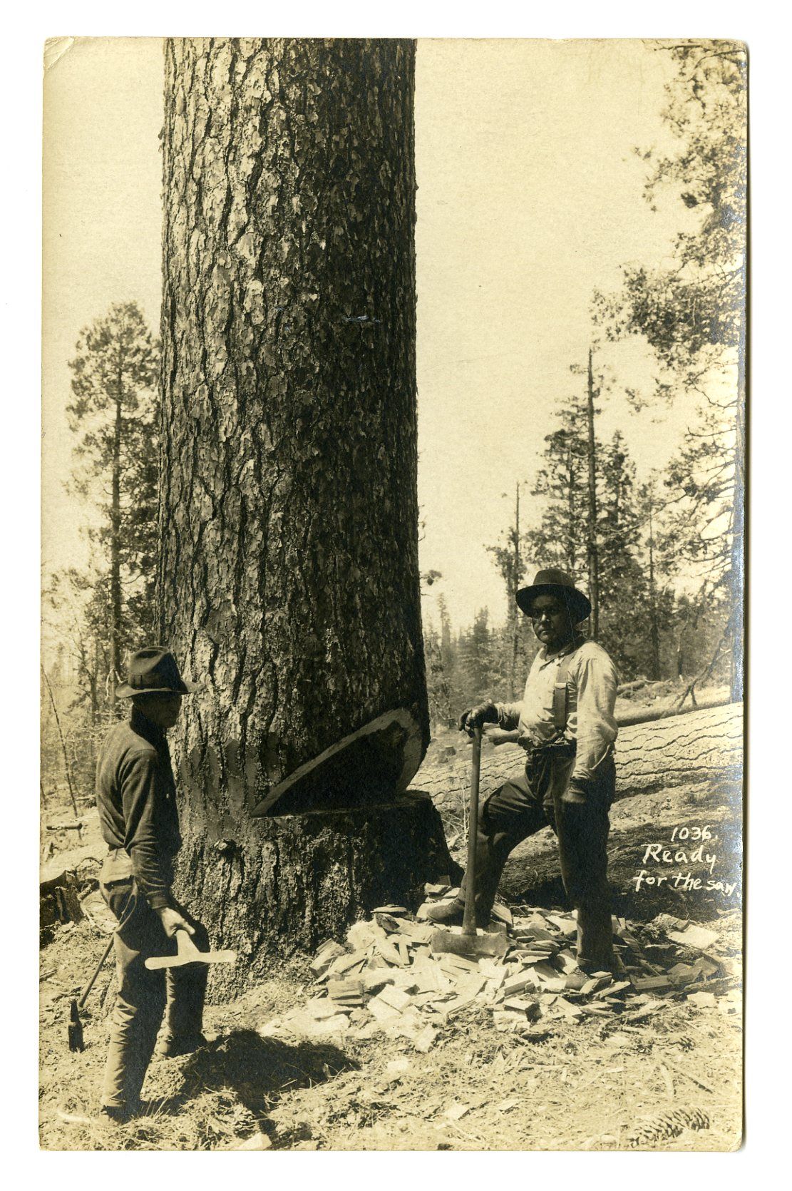 studio huntington lake fresno cal note states central camp summer 1925