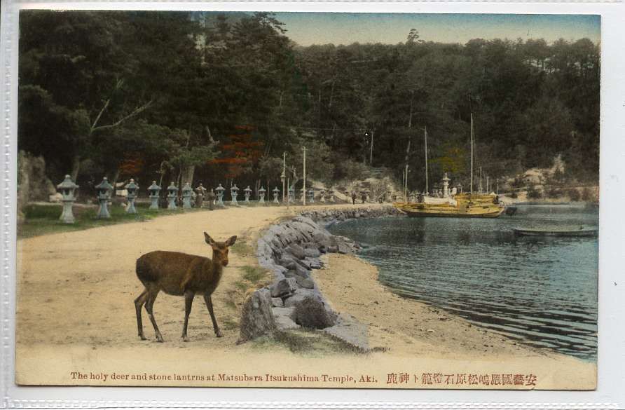 LB468 364 Deer Lanterns at Matsubara Itsukushima Aki Japan E20C Unused