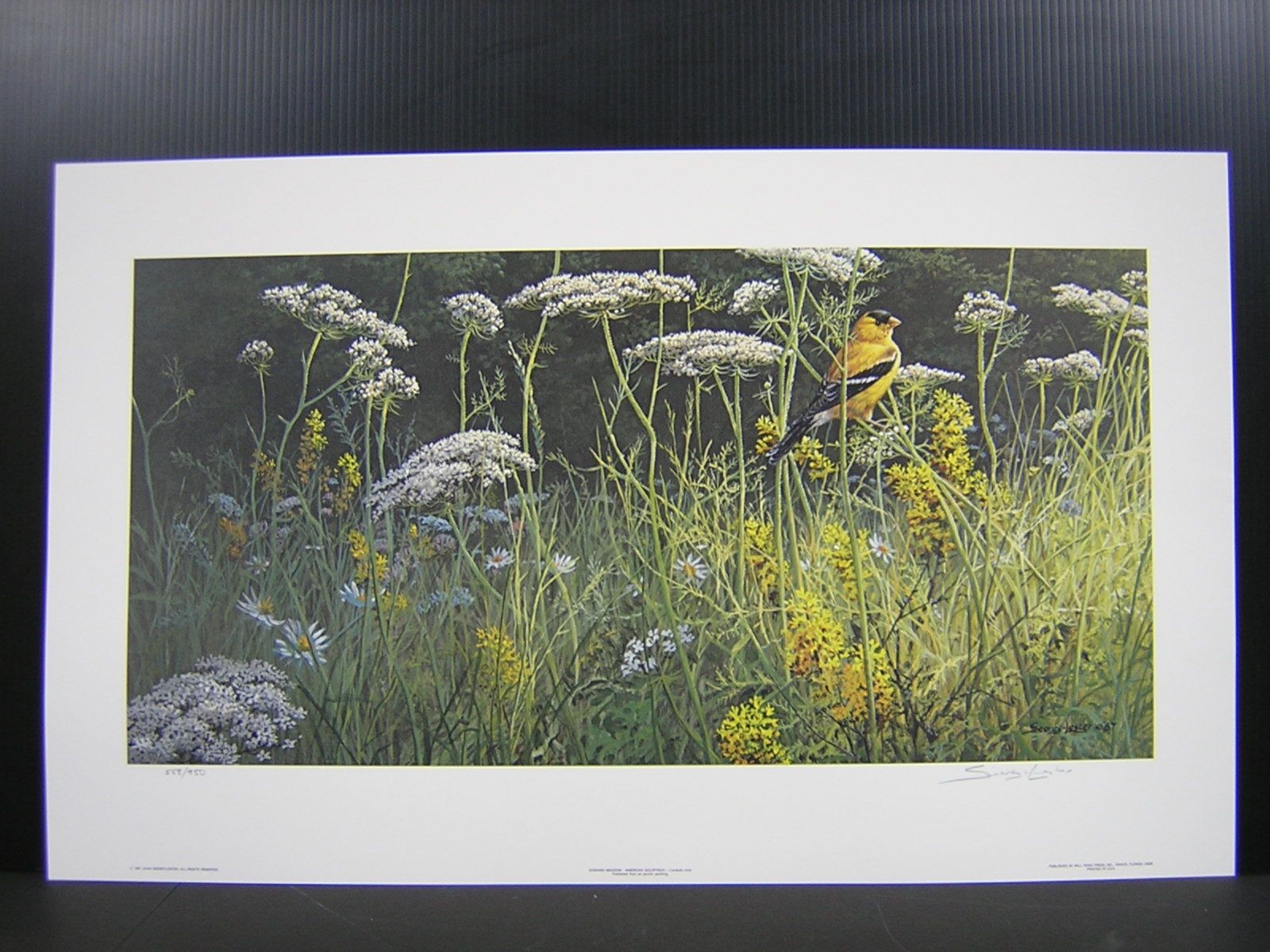 John Seerey Lester Evening Meadow Goldfinch Print