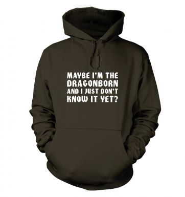 Maybe IM The Dragonborn Hoody Inspired by Skyrim