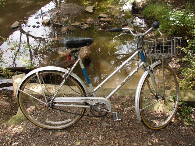 Vtg Raleigh Sports Sturmey Archer 3 Speed Girls Frame Bike Bicycle 26