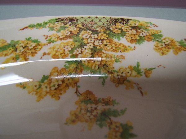 Edwin Knowles Hostess China KNO395 Oval Platter