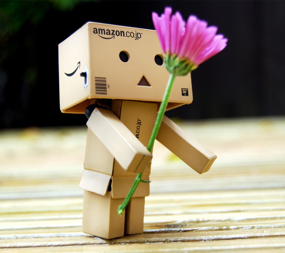 The real revoltech danbo figure  limited version Free