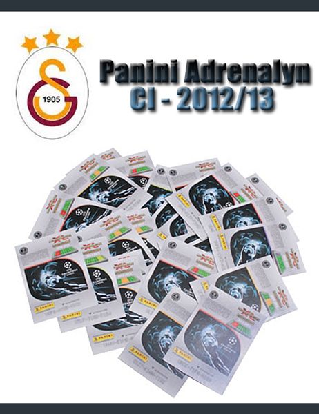 Adrenalyn Champions League   12/13   Galatasaray Istanbul   Karte