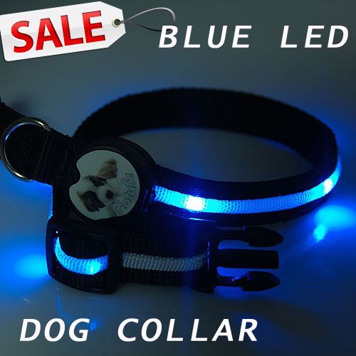 LED Hundehalsband Leuchthalsband Hunde Halsband BLAU LEDs 50CM