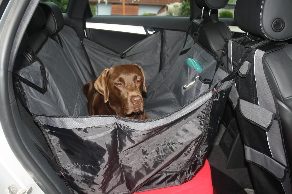 Treme Clean Car Hundedecke Schondecke Autoschondecke Autodecke Hund