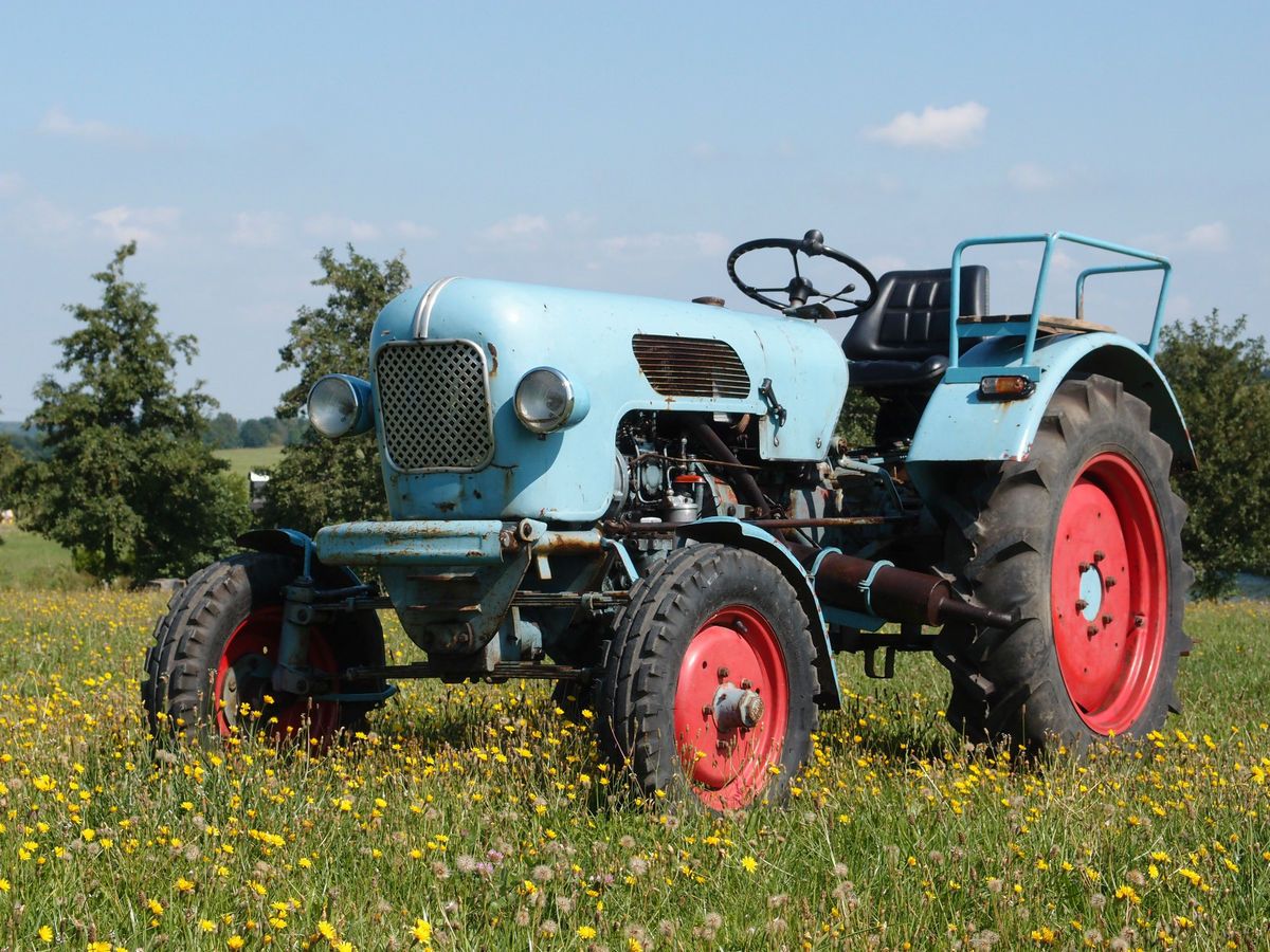 EICHER EM 295   SCHÖNER WALD TRAKTOR IM ORIGINAL ZUSTAND