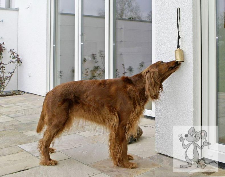 K46699 Hundeglocke Bello Bell Indoor/Outdoor NEU