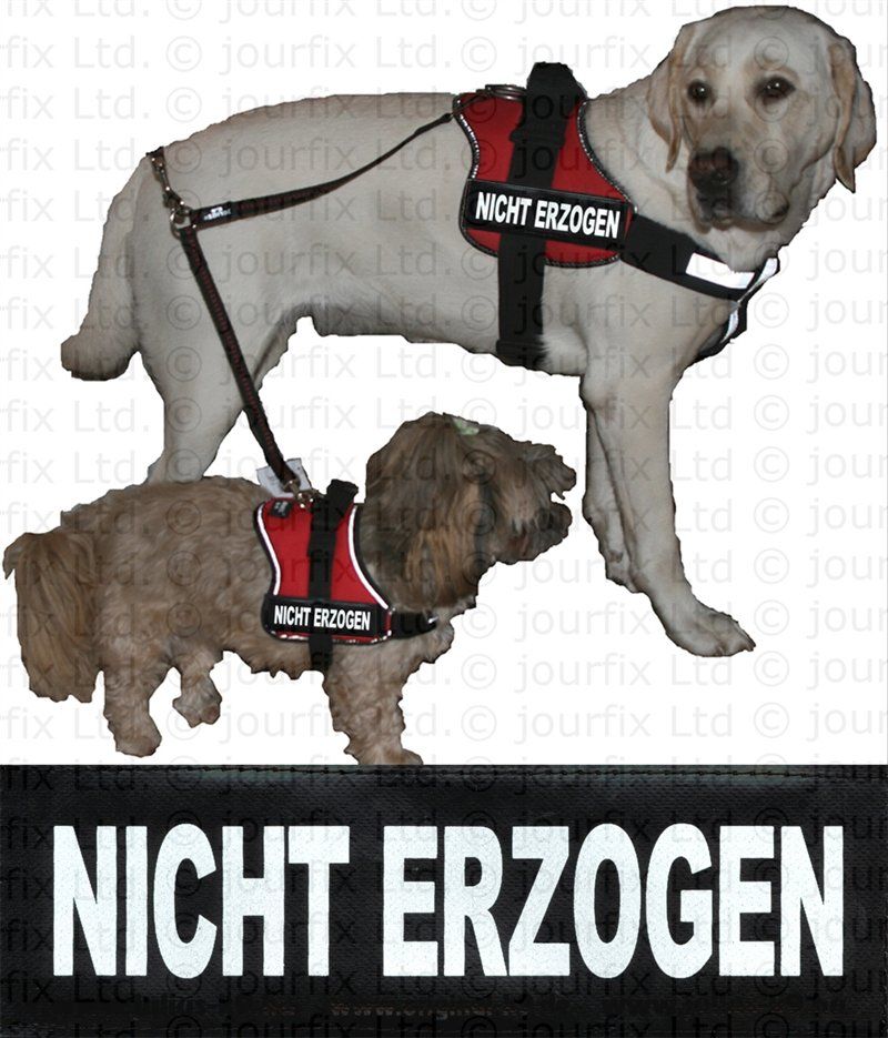 K9 Logo   klein für Julius K9 ® Power  + IDC  + TPP  + Gurtband