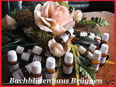 Bachblüten Nr.40 Globuli 10g Emergency Remedy(7)