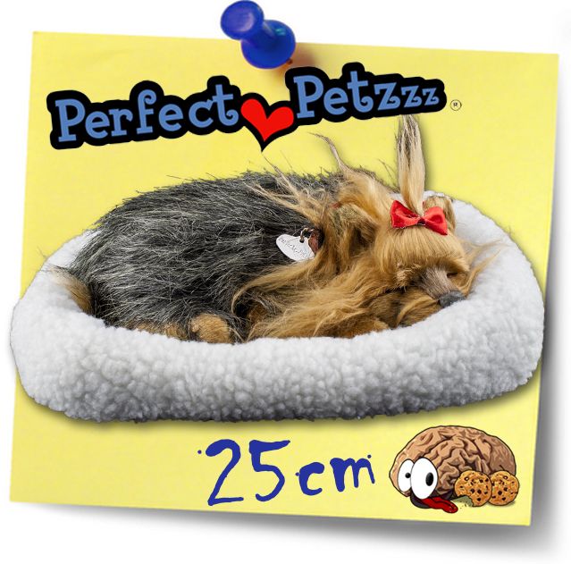 Perfect Petzzz atmender schlafender Yorkie 25cm Hund Soft lebensecht