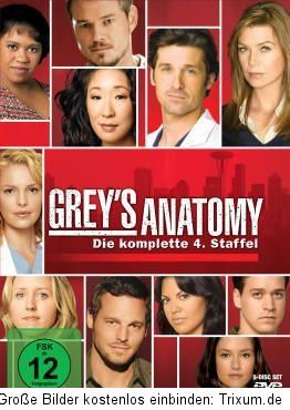 Greys Anatomy Desperate Housewives Türkisch für Anfänger The Big