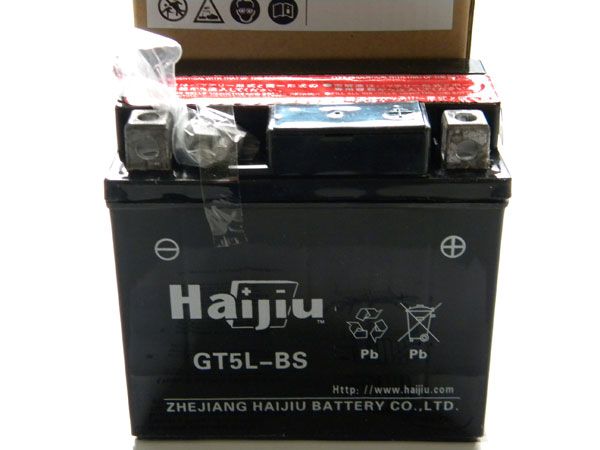 Batterie GT5L BS 12V 5Ah XB 31,33,39,81, 50 125ccm