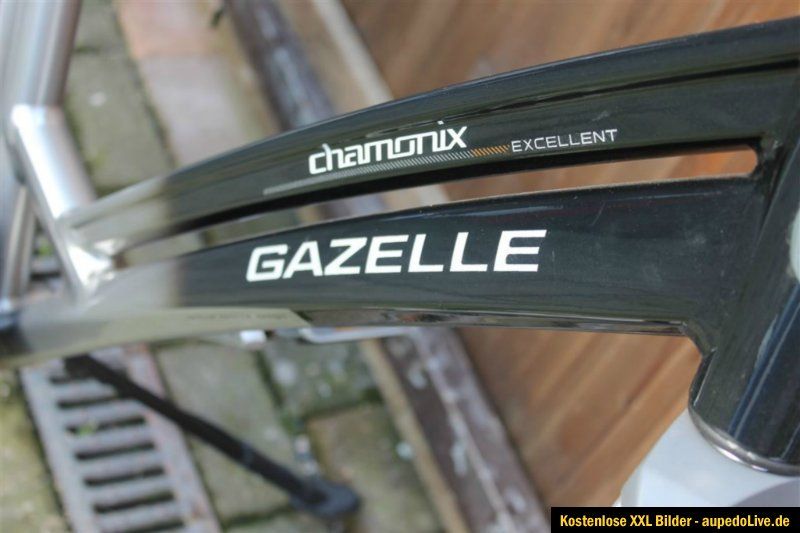 Gazelle Chamonix Excellent Damen Herrenrad Hollandrad RH49cm Model