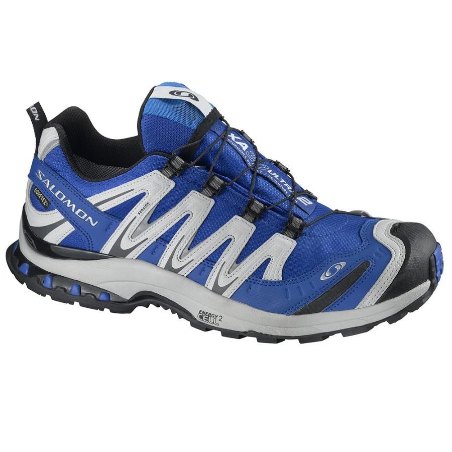 Salomon XA Pro 3D Ultra 2 GTX Herren Schuhe Gore Tex Laufschuhe Blau