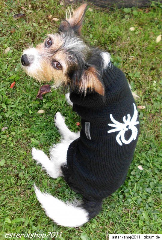 Hundepullover Spider schwarz xxS xS S M L Wolters Hundemantel