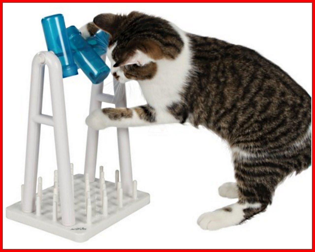 Cat Activity DER Leckerli Turm turn around Intelligenz Spielturm