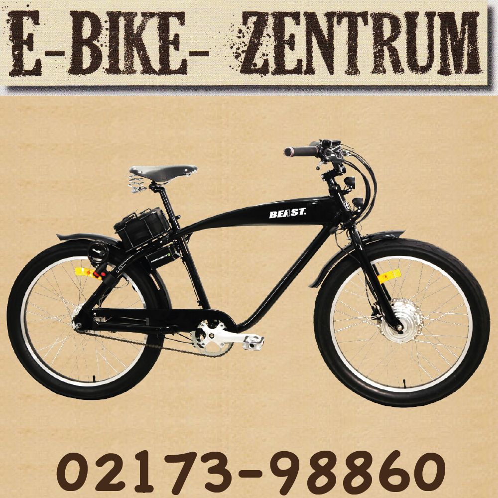 Sachs SFM BEAST 250 man 2012 Herren Pedelec / Elektrofahrrad / E Bike